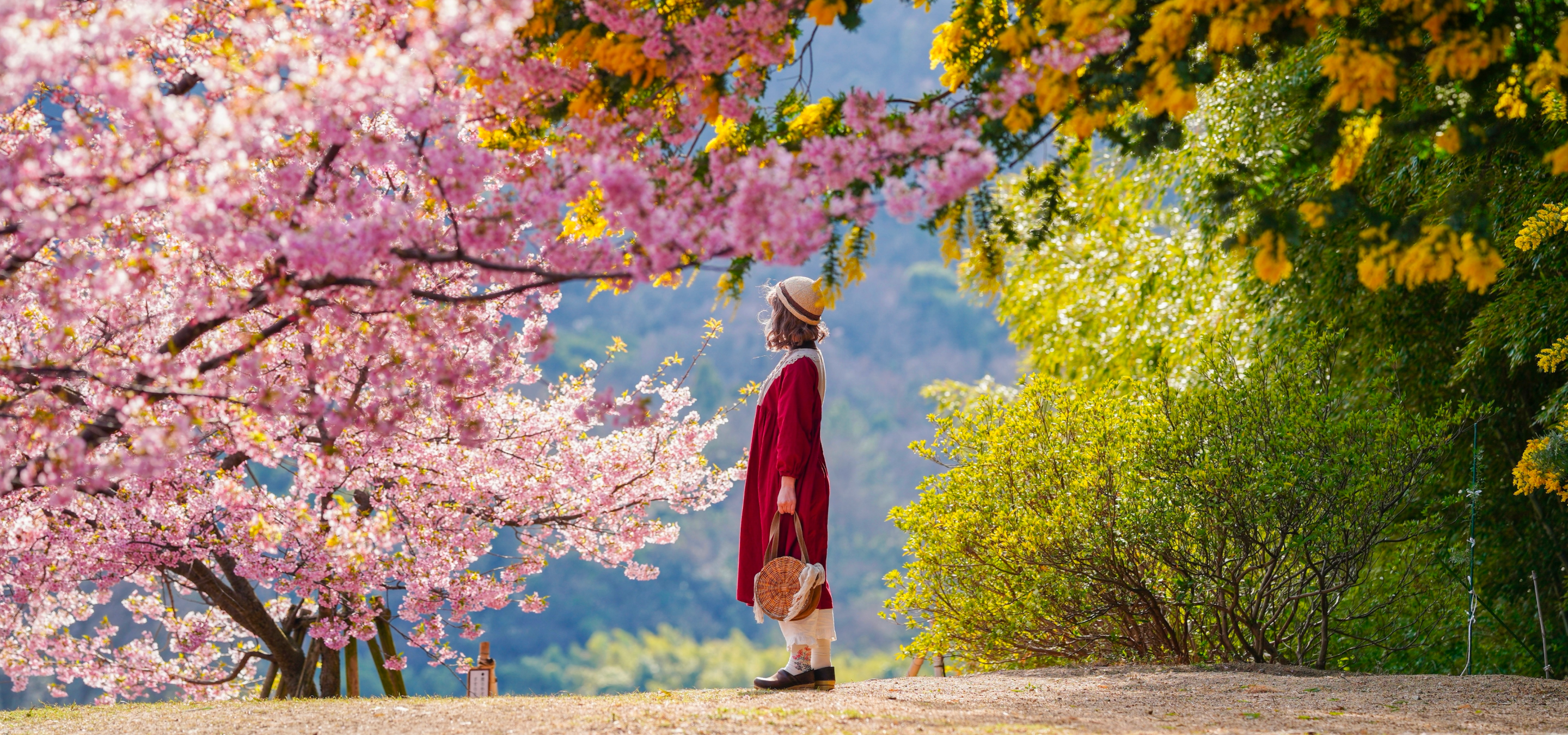 赤い世界の写真