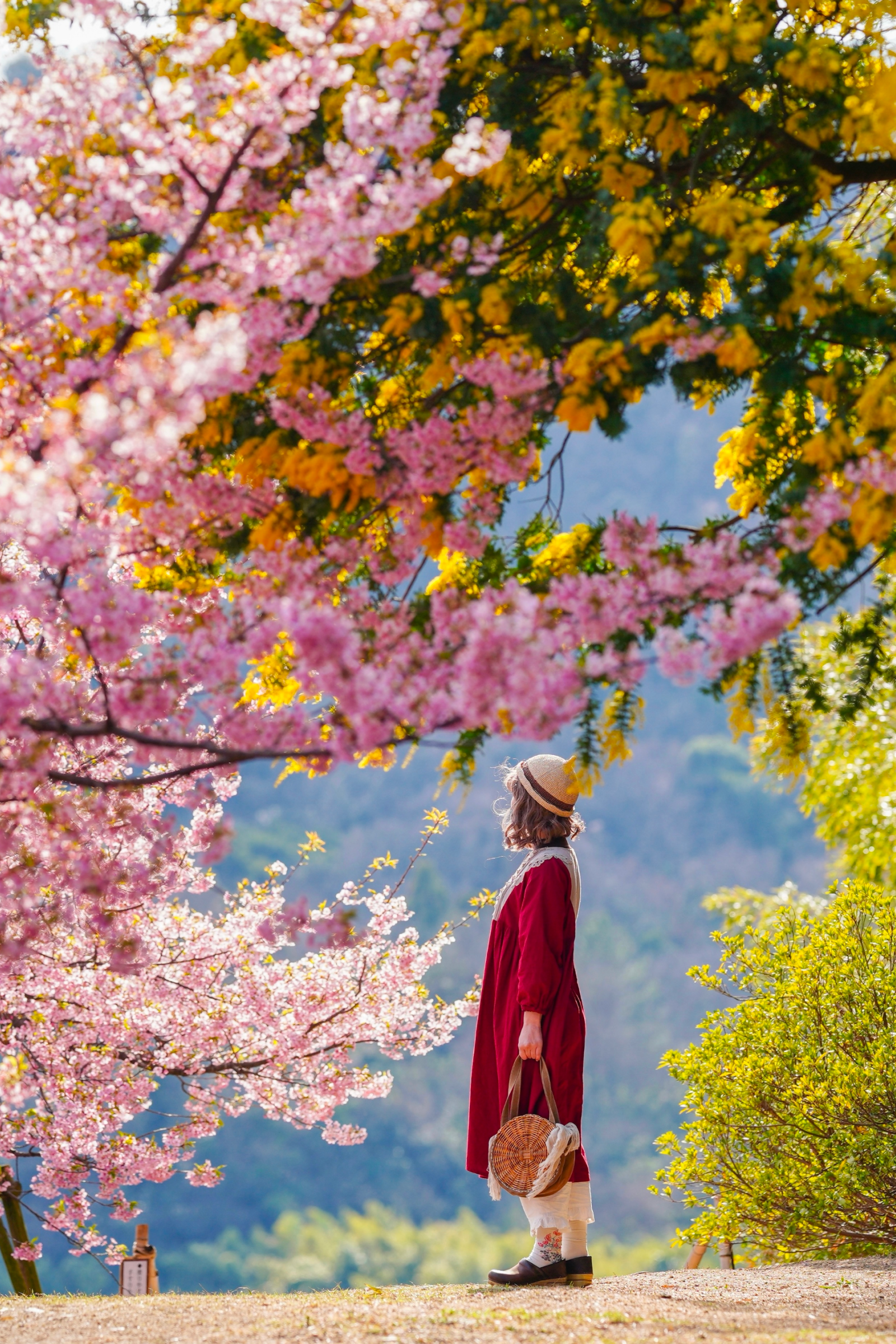 赤い世界の写真